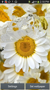 How to mod S6 Daisy Flower LiveWallpaper 1.0 apk for pc