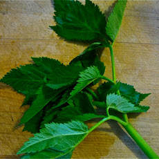 Green Goddess Dressing Revisited