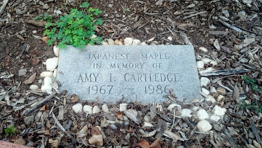Amy I. Cartledge