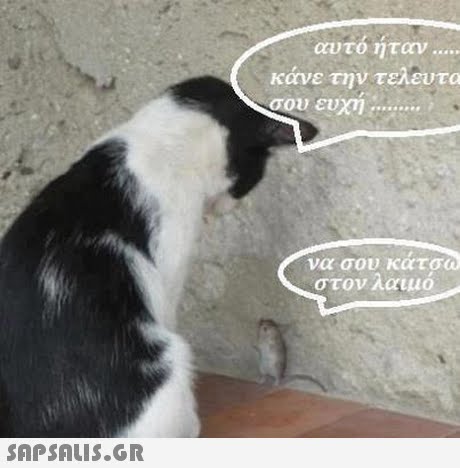 αυτο ηταν  κάνε την τελευτα σου ευχη να σου κατσ 