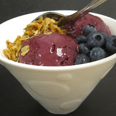 Blueberry Vanilla Bean Frozen Yogurt