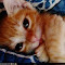 laynie1999