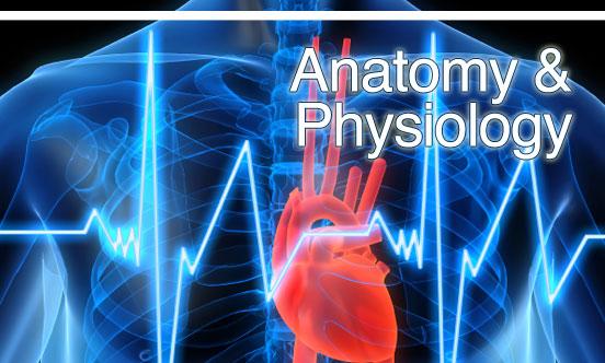 Android application Human Anatomy,Physiology Wiki screenshort