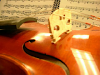 Coleccionista Vende Violines