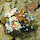 Crustacea Filipiniana