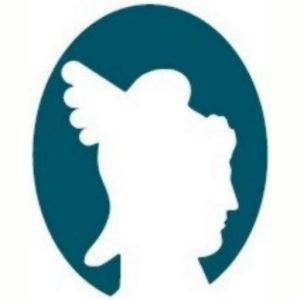 Elections: online e-Voting.apk 1.2