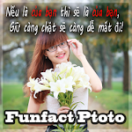 anh tam trang, che anh status Apk