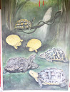 Playing Turtles Mural