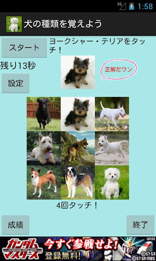 犬の種類を覚えよう