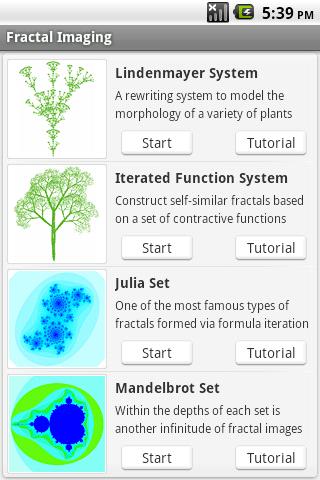 Fractal Imaging