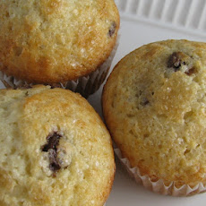 Chocolate Chip Muffins