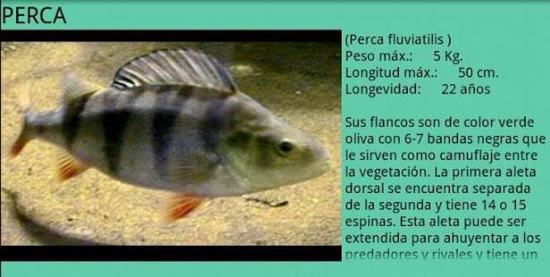 How to install PescandoRio 1.0 unlimited apk for android