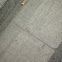 Lagartija 