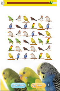 How to get Pet Birds Game 1.0 mod apk for bluestacks