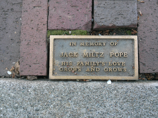 Jack Miltz Pope