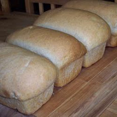 Easy Whole Wheat Bread