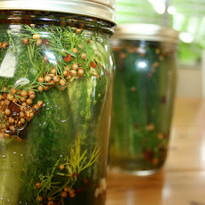 Claussen-Like Refrigerator Pickles
