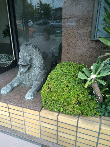 神田町のライオン