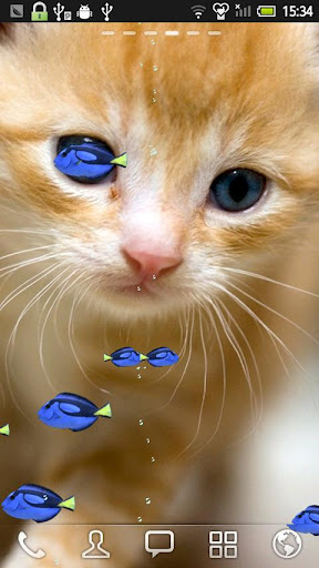 KITTY FISH LIVE WALLPAPER 7