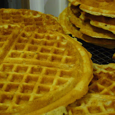 Plain Ol’ Waffles