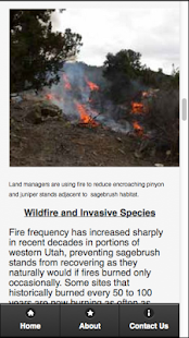 How to get The Sage-Grouse in Utah 1.2 mod apk for pc