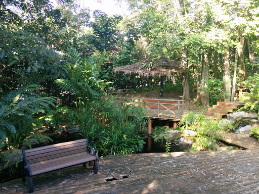 Eco Pond