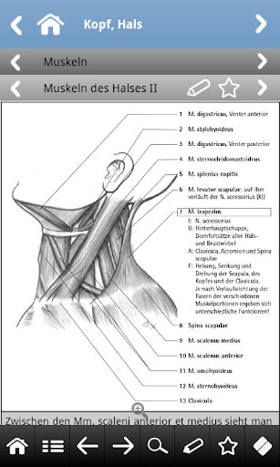 【免費醫療App】Anatomie pocket-APP點子