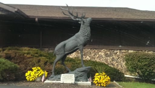 Elks Club Deer Sculpture