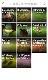 How to install Gipcitricos IVIA 1.3 mod apk for pc