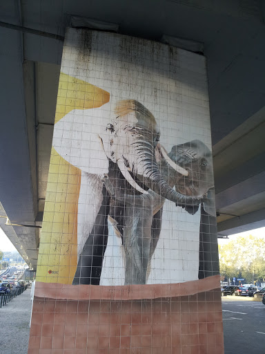 Azulejos - The Elephants