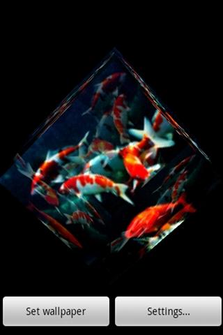 3D fish show 2