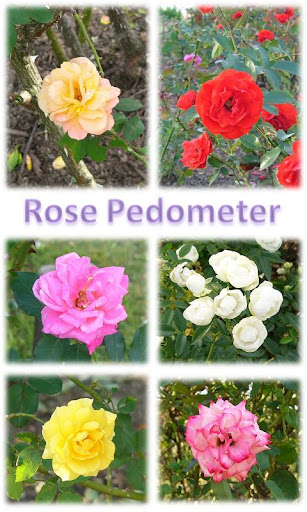 Flower Pedometer 3