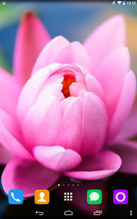 How to get Water Lily Live Wallpaper 1.1.1 unlimited apk for pc