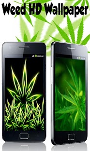 How to mod Weed HD Wallpaper! 1.8 apk for pc