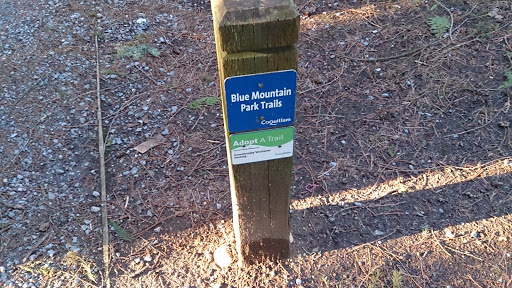 Blue Mountain Park Trails