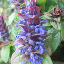 Common self-heal