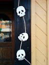 Skulls at Moe Joe's