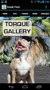 How to download Blue Fawn Kennels patch 1.15.0127 apk for pc