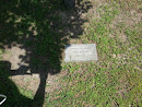 Kathleen A Hoyas Memorial Tree