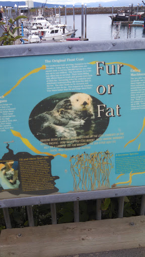 Fur Or Fat