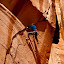 by Tom Gwinn - Sports Climbing