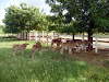 Vendo Finca En Produccion