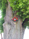 Krzyż na drzewie