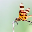 Halloween Pennant