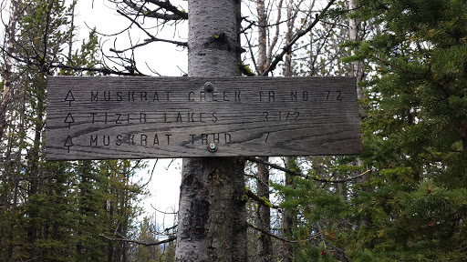 Muskrat Trail