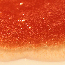 Simple Raw Tomato Juice