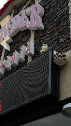 Thunder Plaza  Watch Owl 
