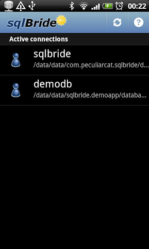 sqlbride-beta for android screenshot