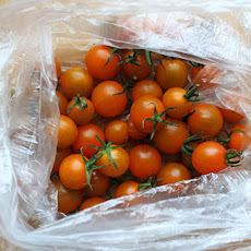 Marinated Mozzarella