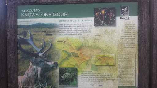 Knowstone Moor Board
